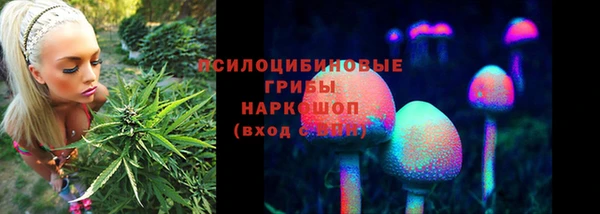 стаф Сафоново