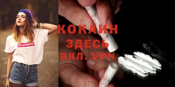 ПСИЛОЦИБИНОВЫЕ ГРИБЫ Сатка