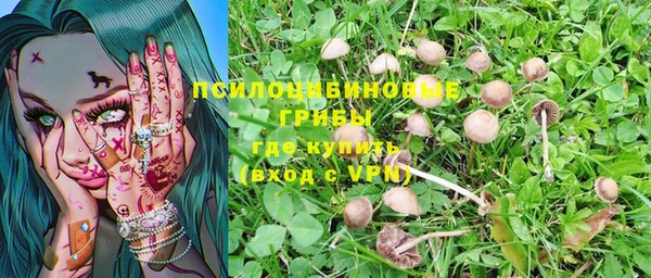 apvp Бронницы